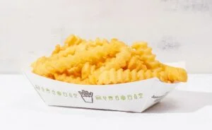 Cheese Fries